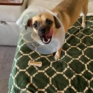 Meet your Posher, Kate